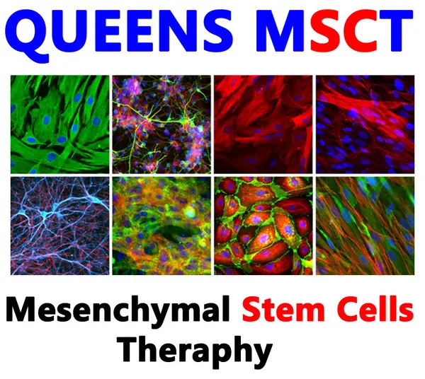 Stem Cell Therapy